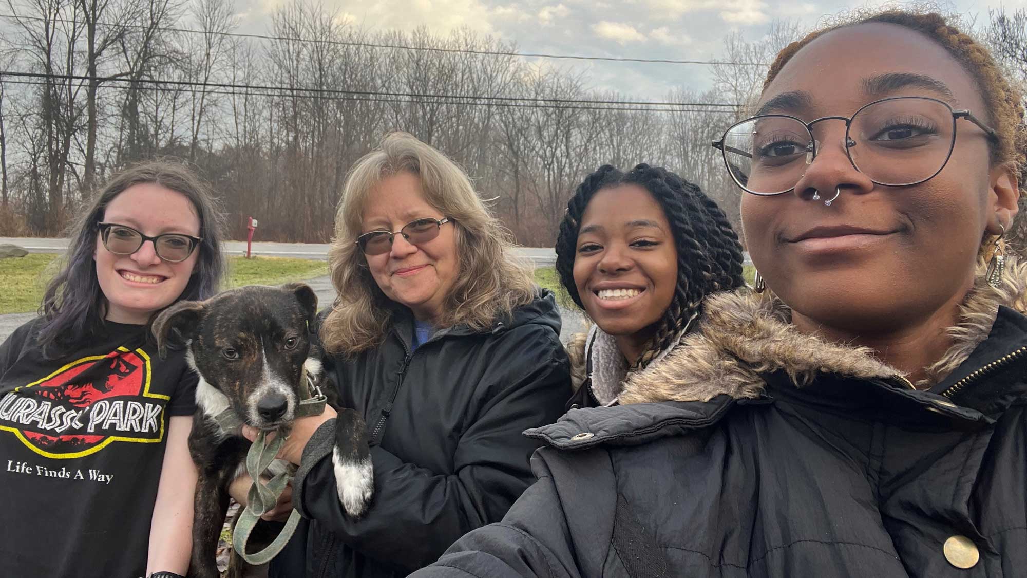 Open image in modal}