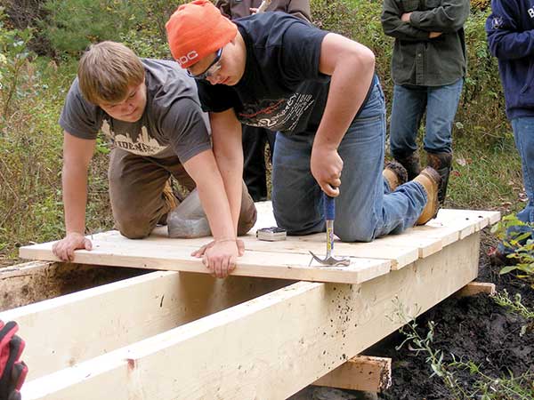 Image for Making a Path Less Swampy