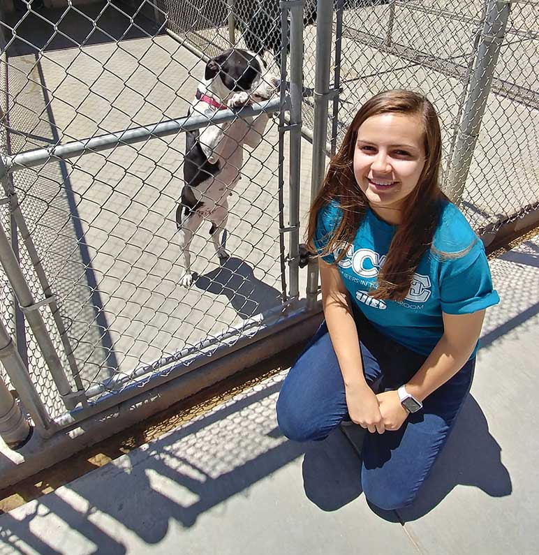 Image for Meals, Wheels for Stranded Pets