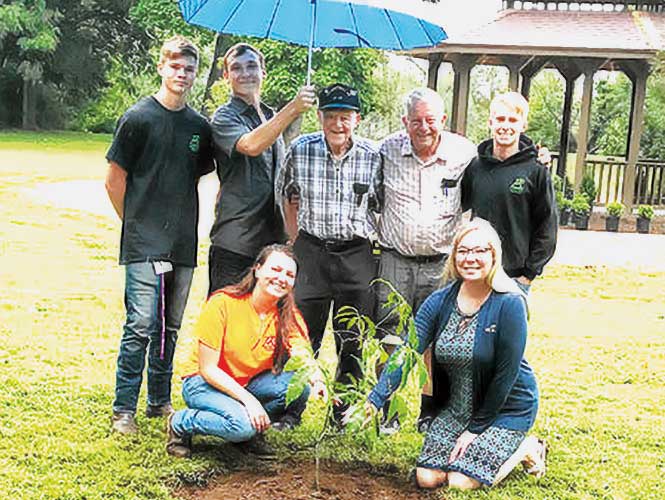 Image for A Vision  of Healing  for Veterans