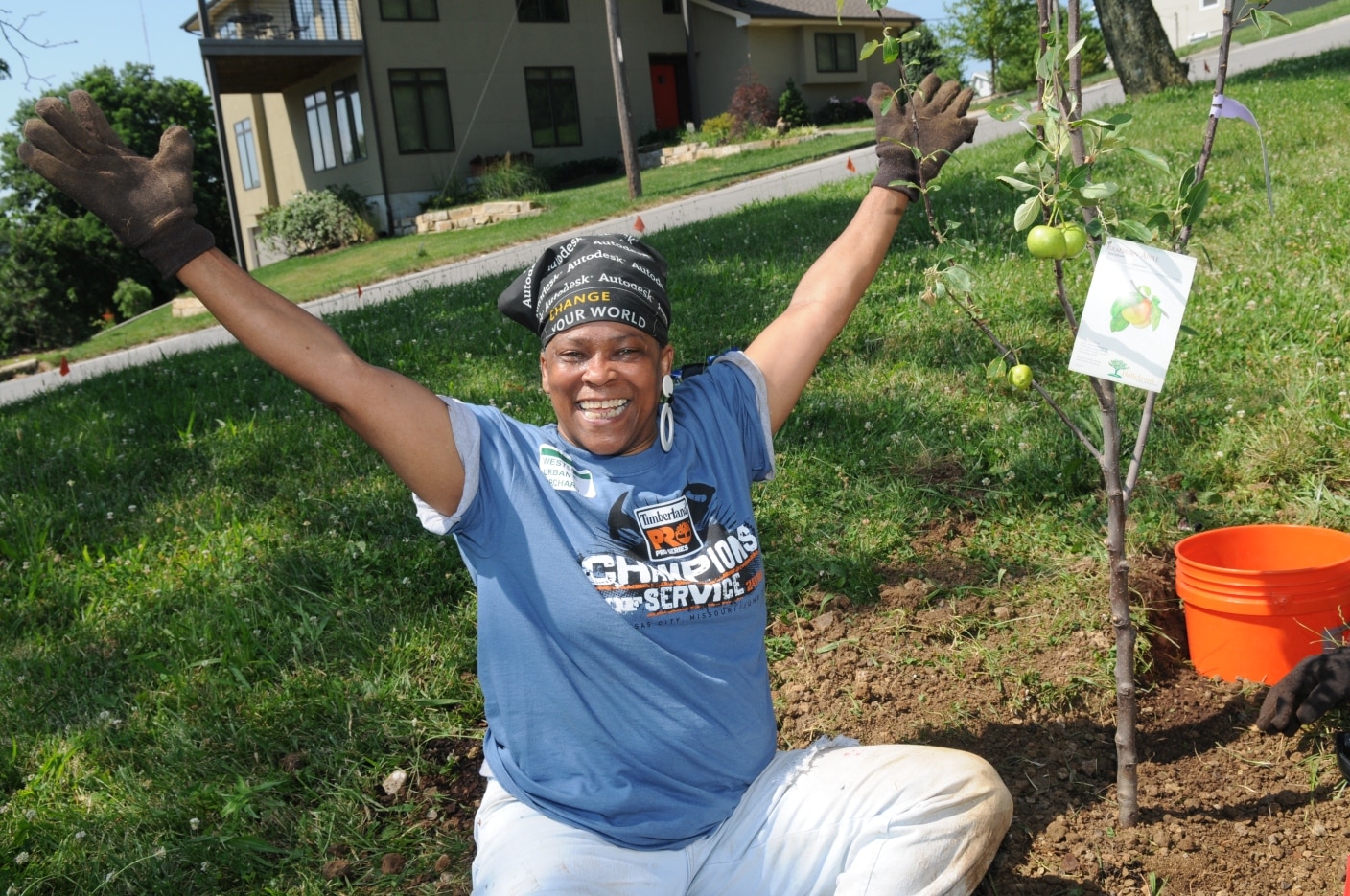 Open image in modal}