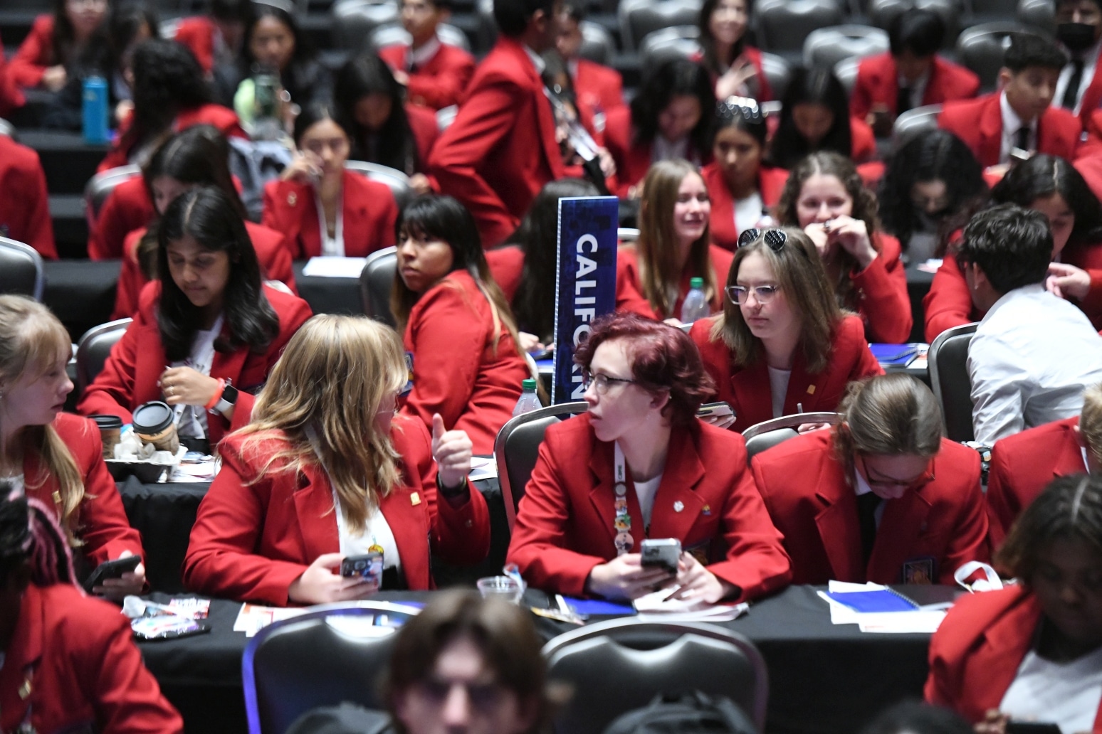 Open image in modal}